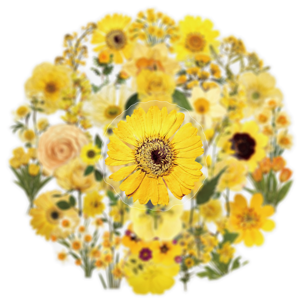 50Pcs Sunflower Transparent Ye - Yellow Phone Accessories recensie en prijs